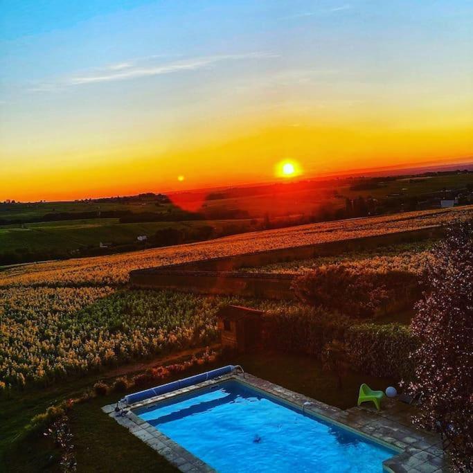 Au Coeur Des Vignes Moulin A Vent Apartamento La Chapelle-de-Guinchay Exterior foto