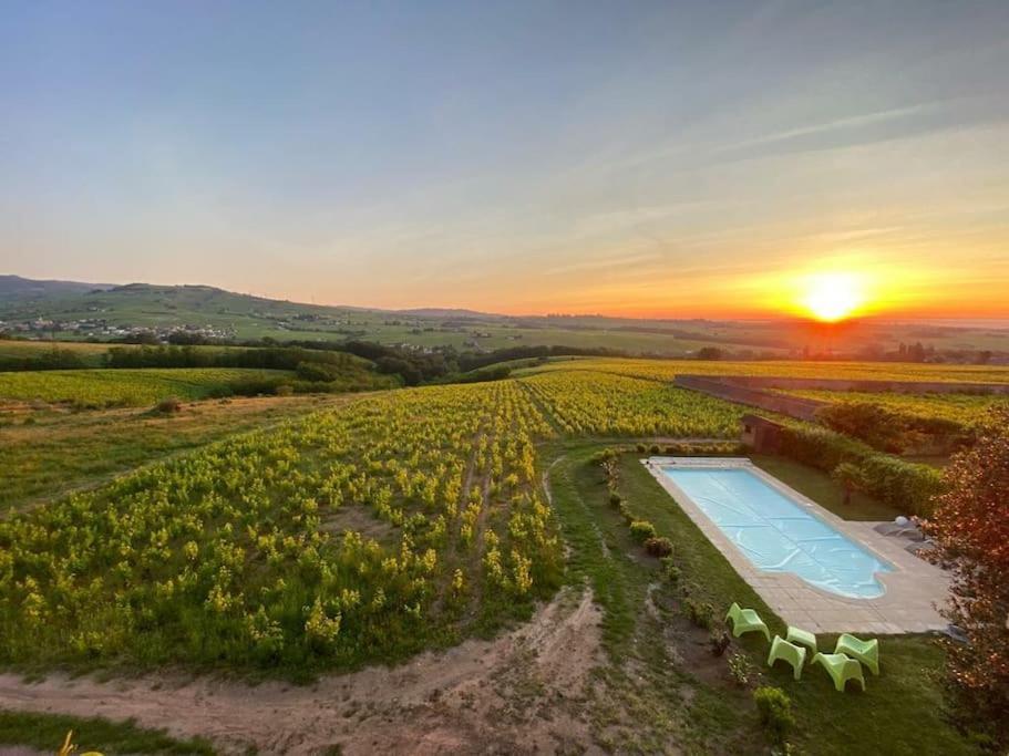 Au Coeur Des Vignes Moulin A Vent Apartamento La Chapelle-de-Guinchay Exterior foto